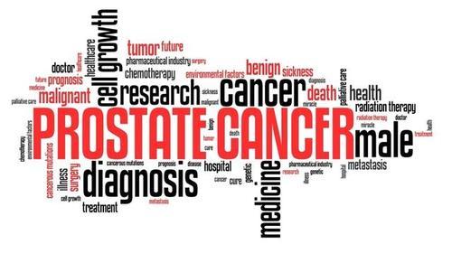 The Prostate Explained